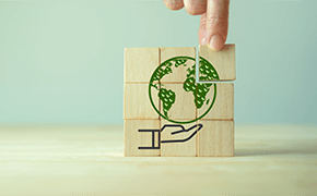 environmental-management-290x180